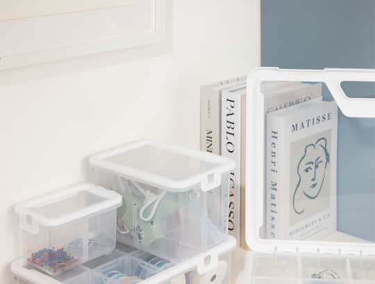 Ezy Storage Tall 2-Compartment Storage Box